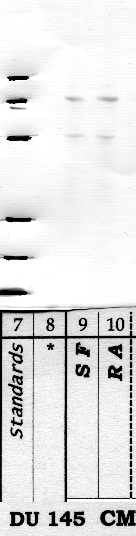 DPP-10: Stalk region — WB validation