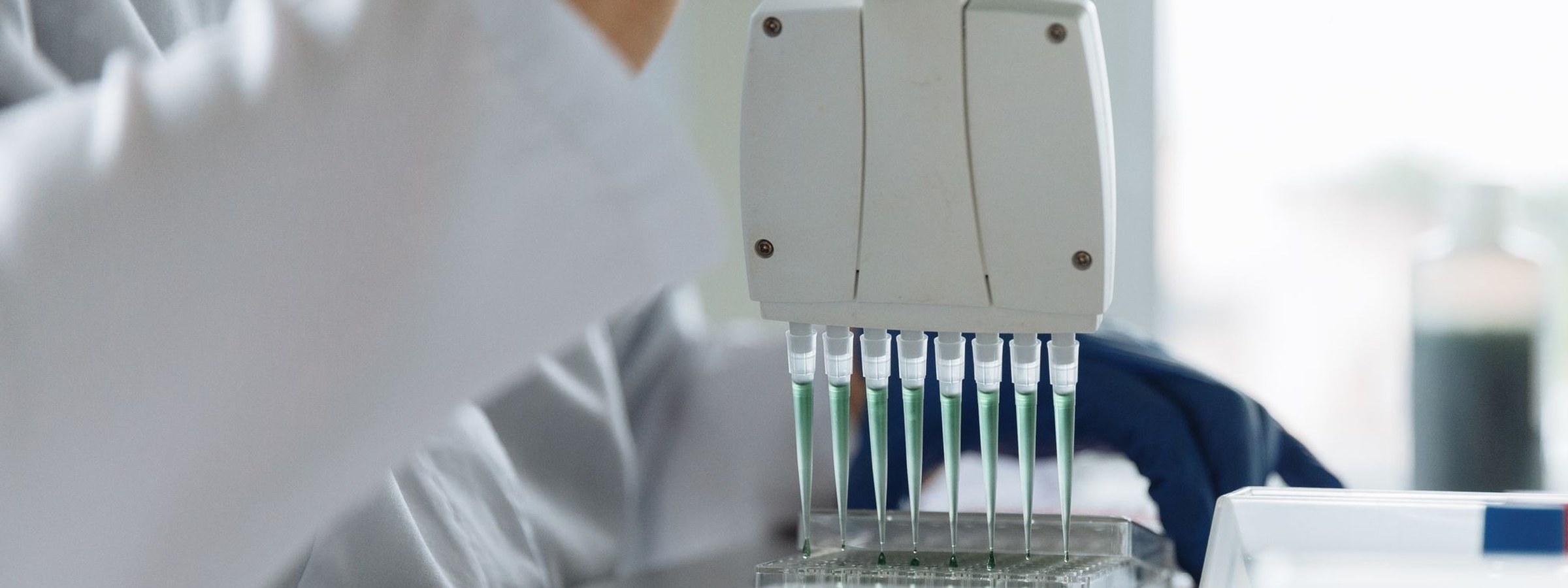 Multichannel pipette loading a protease activity assay plate